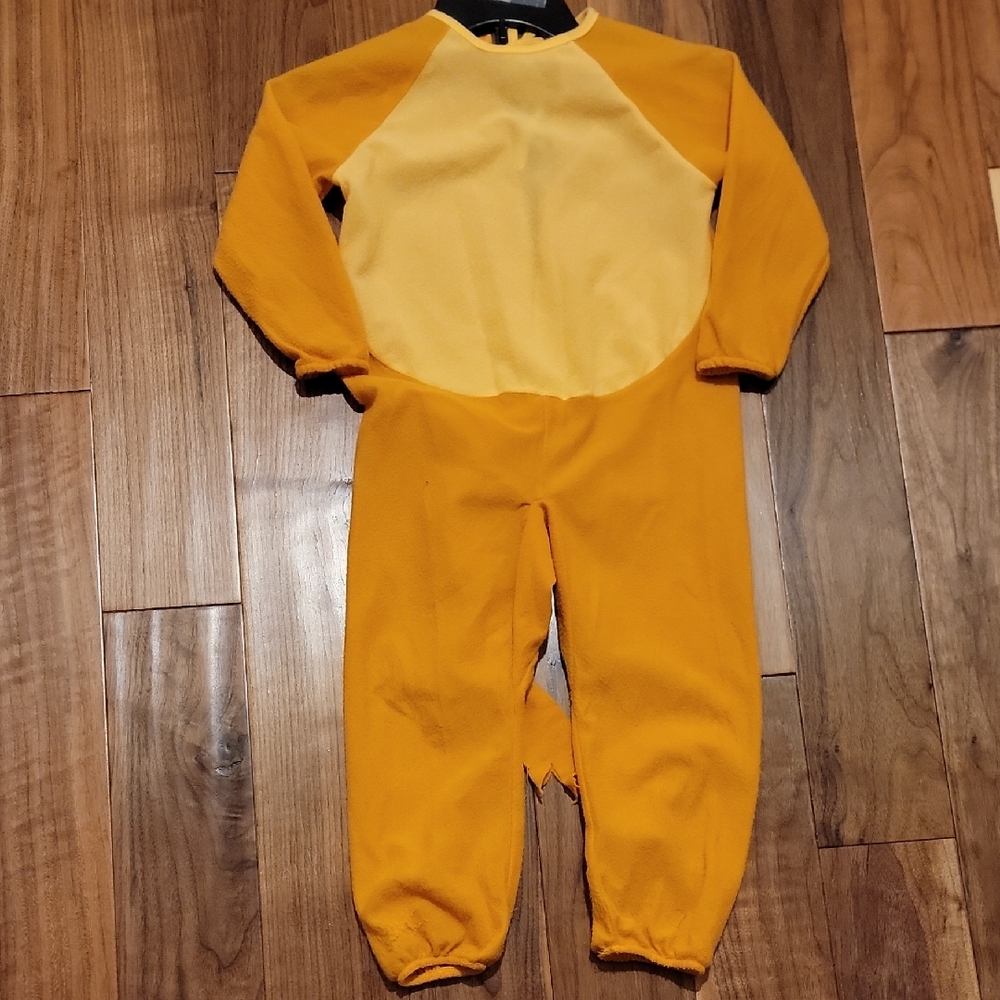 Disney Lion King Costume